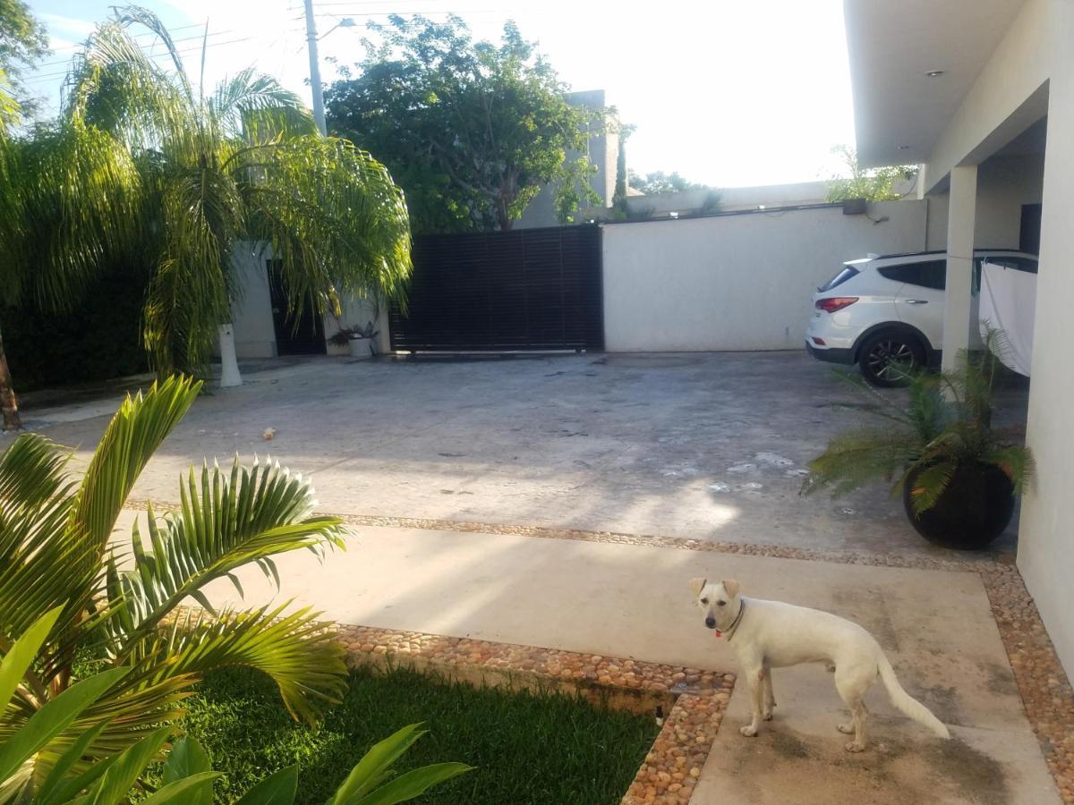 Casa Xcanatun Mérida Esterno foto